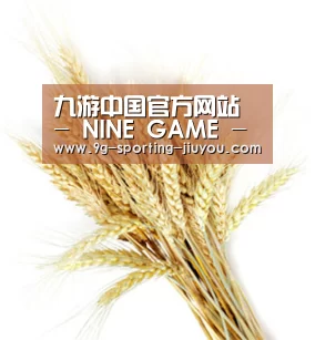 九游中国官方网站 - NINE GAME - 九游游戏中心