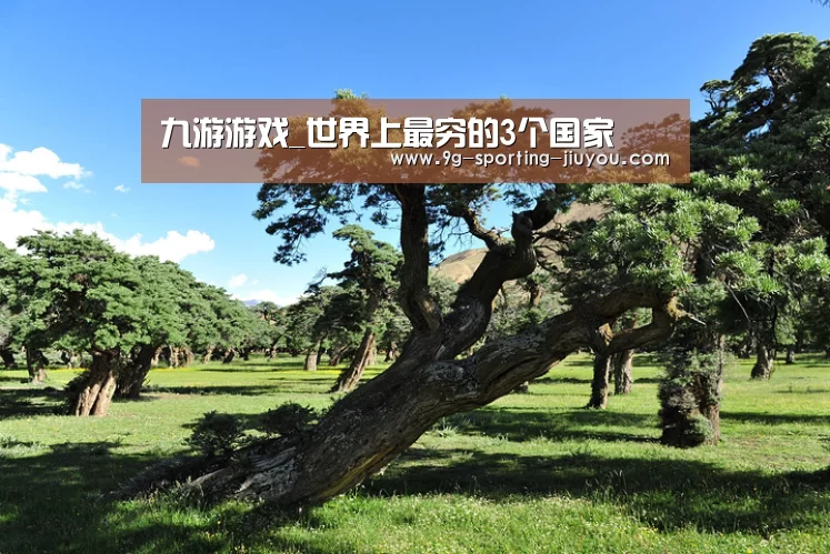 九游游戏中心