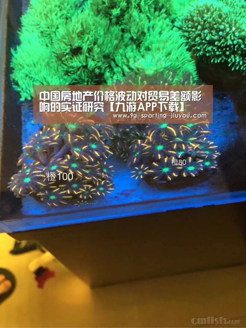 九游官网