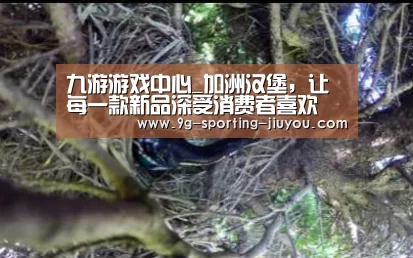 九游APP下载