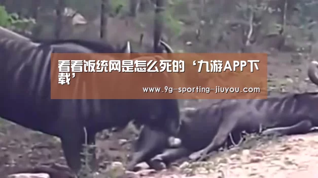 九游游戏