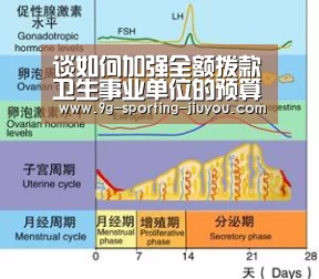 谈如何加强全额拨款卫生事业单位的预算管理【九游官网】(图4) 九游游戏中心